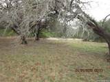 959 Alamo Beach Rd - Photo 26