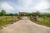 395 Bluff Creek - Photo 50