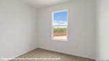 123 Paul Street - Photo 24