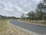 81 Stevens Rd - Photo 12