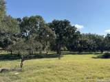309 Lost Oaks Dr - Photo 67