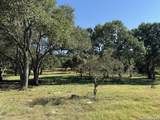 309 Lost Oaks Dr - Photo 68