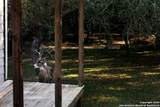 445 Scenic Hills Dr - Photo 22