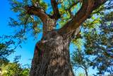 348 Rocky Road - Photo 11