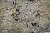 348 Rocky Road - Photo 19