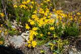 348 Rocky Road - Photo 22