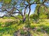 163 Stallion Estates Drive - Photo 10