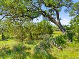 163 Stallion Estates Drive - Photo 11