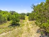 163 Stallion Estates Drive - Photo 15