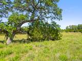 163 Stallion Estates Drive - Photo 2