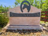 163 Stallion Estates Drive - Photo 32