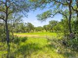 163 Stallion Estates Drive - Photo 5