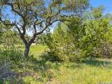 163 Stallion Estates Drive - Photo 8