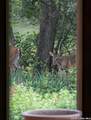 7965 Garden North Dr - Photo 36