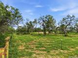 2105 County Road 124 - Photo 11