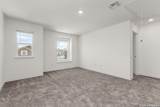 4555 Gato Calico Dr - Photo 11