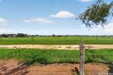 317 Yorktown - Photo 45
