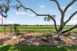 317 Yorktown - Photo 46