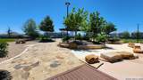14374 Palm Rdg - Photo 32