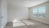 152 Purple Carib - Photo 18