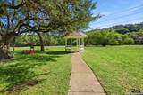 13130 Blanco - Photo 28