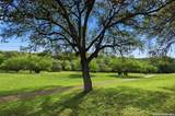 13130 Blanco - Photo 31