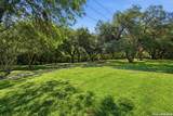 13130 Blanco - Photo 32
