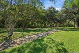 13130 Blanco - Photo 33