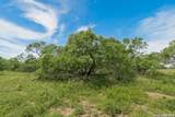 9259 Turkey Barn Ln - Photo 105