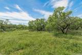 9259 Turkey Barn Ln - Photo 124