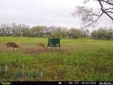 9259 Turkey Barn Ln - Photo 68
