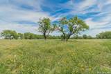 9259 Turkey Barn Ln - Photo 86