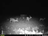 9259 Turkey Barn Ln - Photo 89