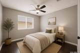 9006 Arabian King - Photo 19