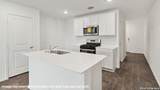 146 Lilli's Lane - Photo 31