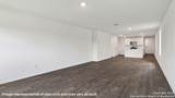 4907 Iguana - Photo 18
