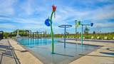 4907 Iguana - Photo 55
