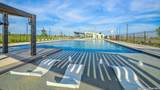 4907 Iguana - Photo 58