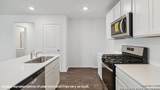 4907 Iguana - Photo 6