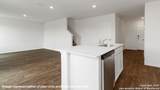 4911 Iguana - Photo 11