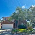 25602 Sophora - Photo 1