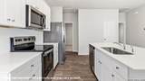 11710 Lavendale Hunt - Photo 12