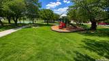 10223 Huisache Fld - Photo 26