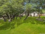 557 Apex Avenue - Photo 6