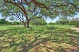 10319 Oak Forest - Photo 44