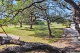 10319 Oak Forest - Photo 46
