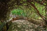 109 Debra Lane - Photo 24