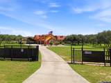 23232 Winter Oaks - Photo 61