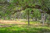 377 Buffalo Springs Rd - Photo 8