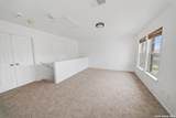 7258 Dwarf Palm - Photo 10